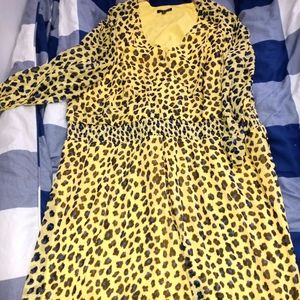 Spring / Summer Dresses